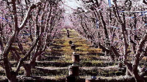 Pronóstico del tiempo en Mendoza para este martes. Claudio Gutiérrez / Los Andes