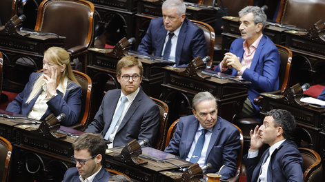 La Cámara de Diputados sesionó desde las 12.20 para debatir la creación de una comisión investigadora por el escándalo del criptogate | FOTO: DANIEL VIDEL/NA