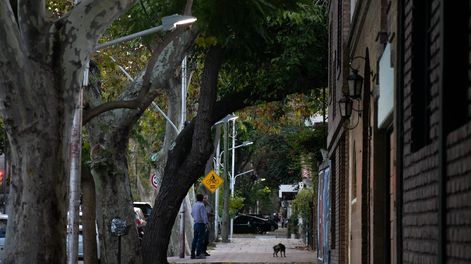 Continúan las mejoras lumínicas en la Ciudad. Foto: Prensa Ciudad de Mendoza