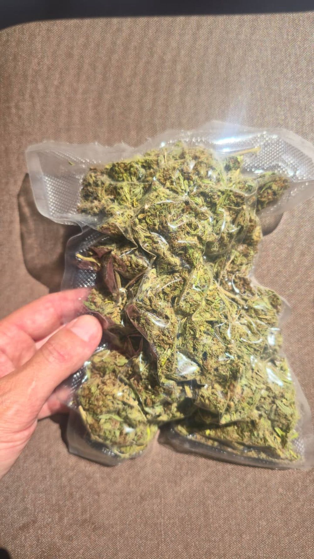 Cannabis medicinal: el inédito proyecto mendocino para producir a 3,000 msnm y que aportará información clave