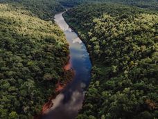 Mucho más para ofrecer que las increíbles Cataratas: brinda un recorrido para deslumbrarse con el trópico argentino. (Gentileza:  La Ruta Natural)
