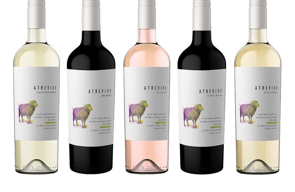Conocé los nuevos vinos de Terracota Wineland en Tienda Los Andes