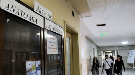 Los Andes | Actualmente, en Medicina hay seis estudiantes en los distintos años que no tienen residencia en Argentina. La mayoría de los aspirantes a ingresar son chilenos. | Foto: Archivo Los Andes