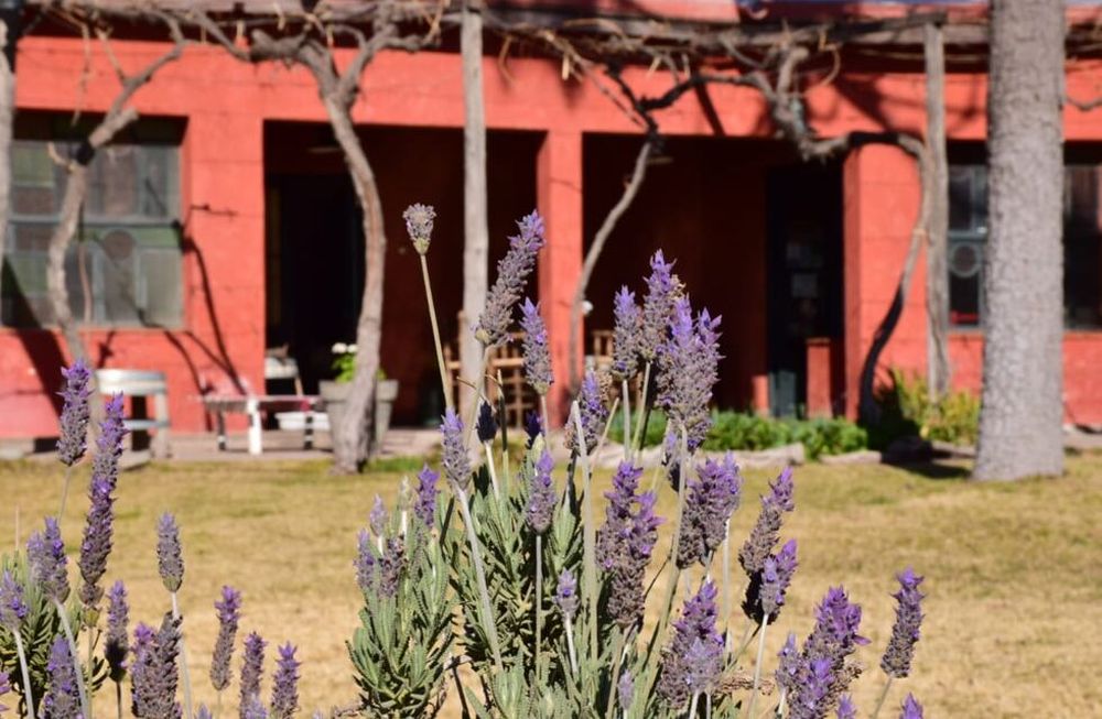 Llega Bodega Hacienda del Plata a Tienda Los Andes