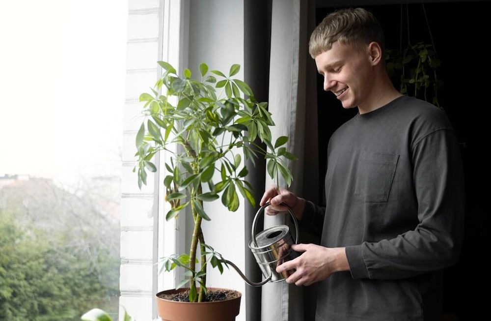 Hay que considerar que el agua no esté muy fría y evitar el riego cuando el suelo está escarchado o se produce una helada. Foto: Freepik / Aguas Cordobesas