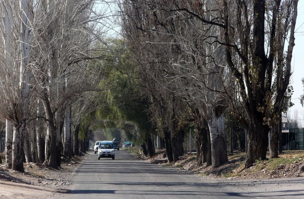 Calle Boedo de Luján de Cuyo.