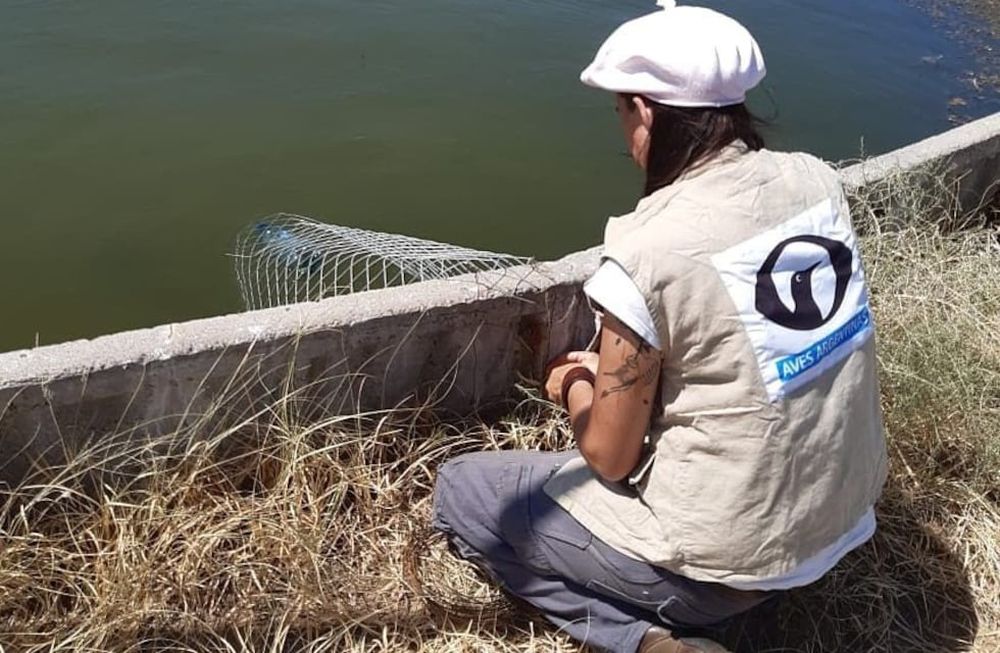 Los productores mendocinos deberán colocar rampas de escape en sus reservorios de agua para evitar el ahogamiento de especies silvestres. Foto: Dirección de Recursos Naturales y Renovables.