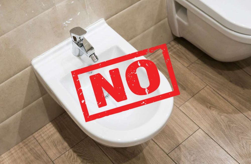El bidet ya no se instala en los hogares a la moda la tendencia que cada vez gana más fuerza es mucho más elegante y cómoda (1)