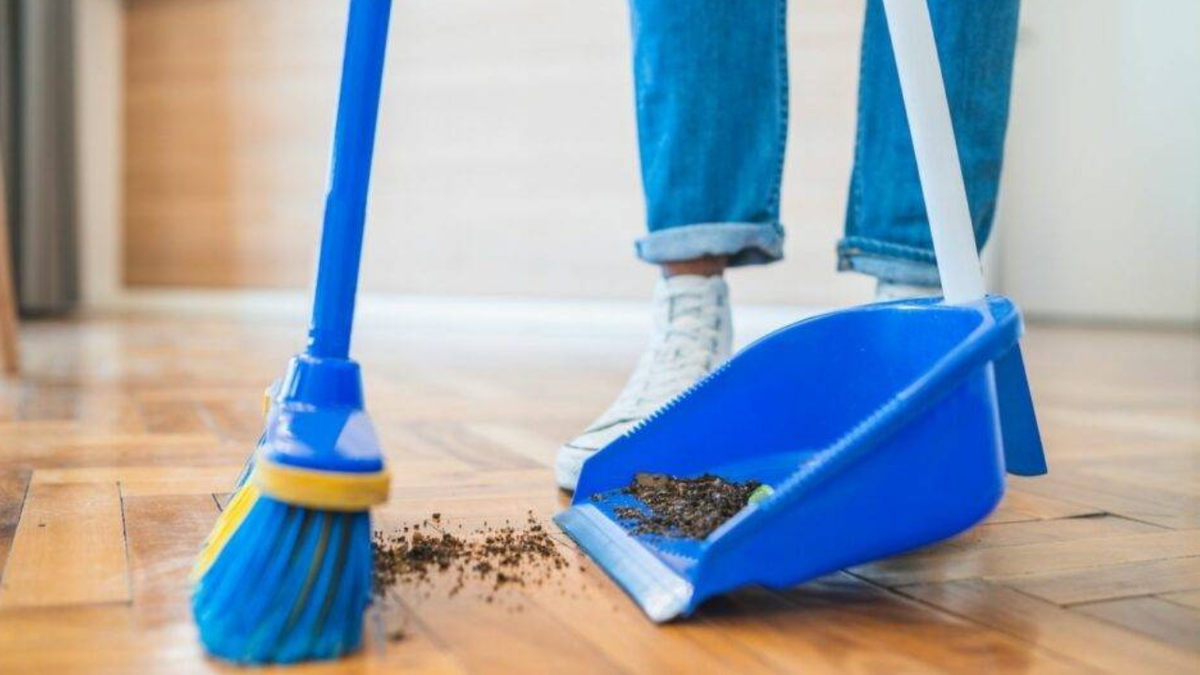 Si tenés una palita rota, no la tires, poseés un tesoro: podés ...