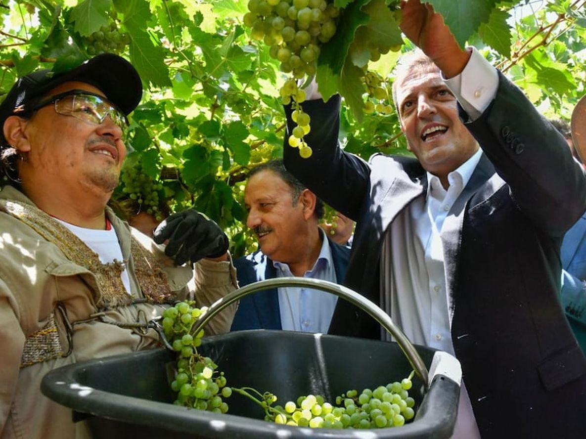 Massa habló de la posibilidad de importar uva para la producción vitivinícola - Gentileza