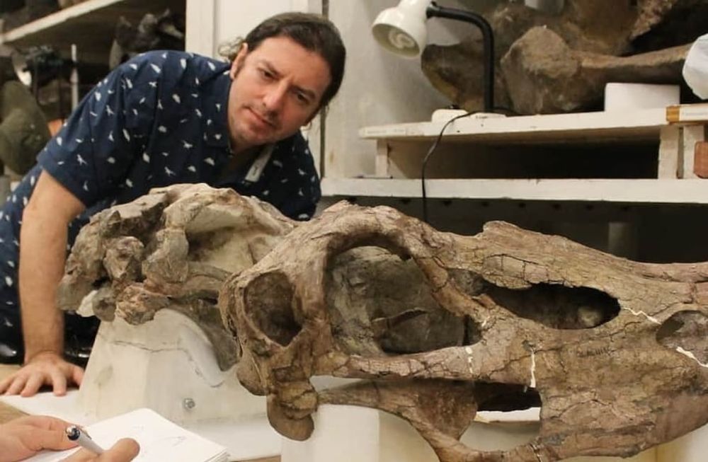 Mendoza, tierra de saurios: los 6 ejemplares que vivieron en estas tierras y la voz del “Señor de los Dinosaurios”. Foto: Gentileza Bernardo González Riga