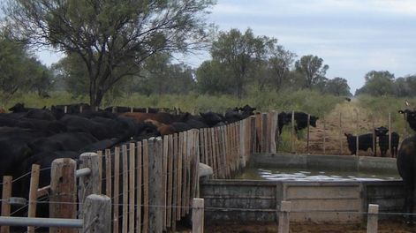 Los Andes | Desde hace varios años los productores ganaderos vienen solicitando mejoras en la infraestructura que rodea a los campos. / Foto: Gentileza