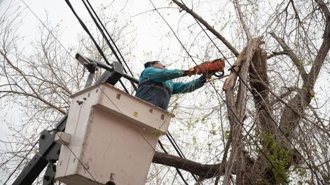 Cronograma de trabajos