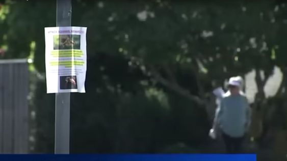 Pánico por un animal que ataca a los vecinos.