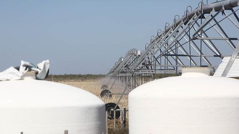 Los Andes | Alberto y Matías Sáenz, padre e hijo, desarrollaron en la estancia Ituzaingó un proyecto que por estos días es único en Mendoza. / Archivo