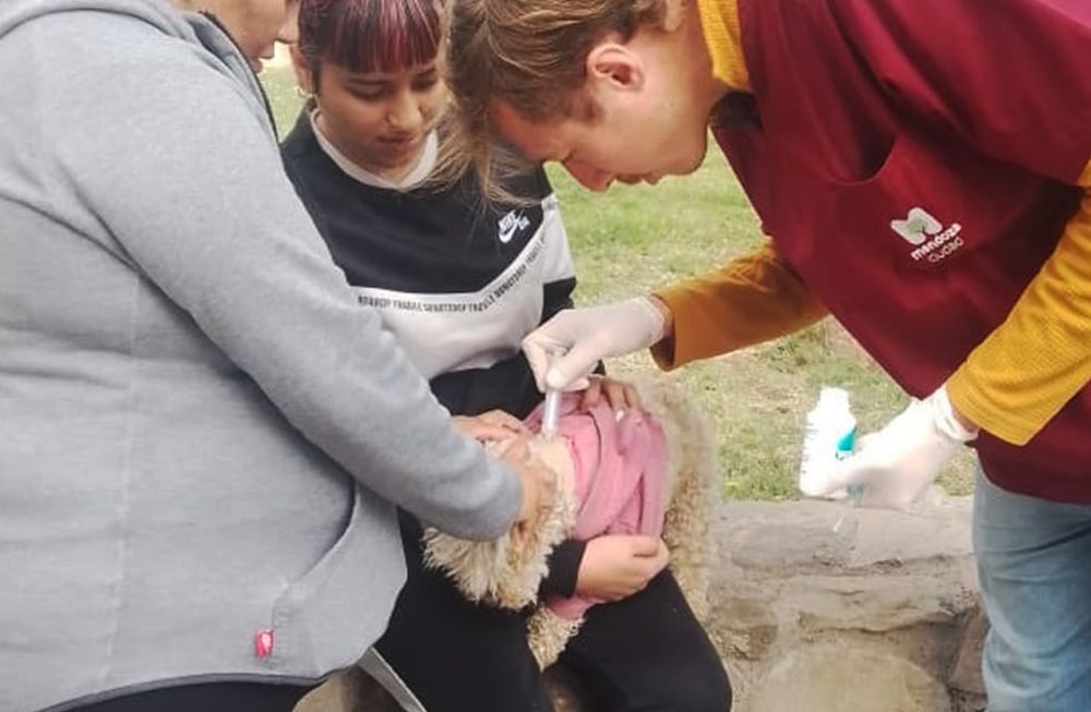 Más de 150 vacunas fueron colocadas por el Día Mundial de la Rabia