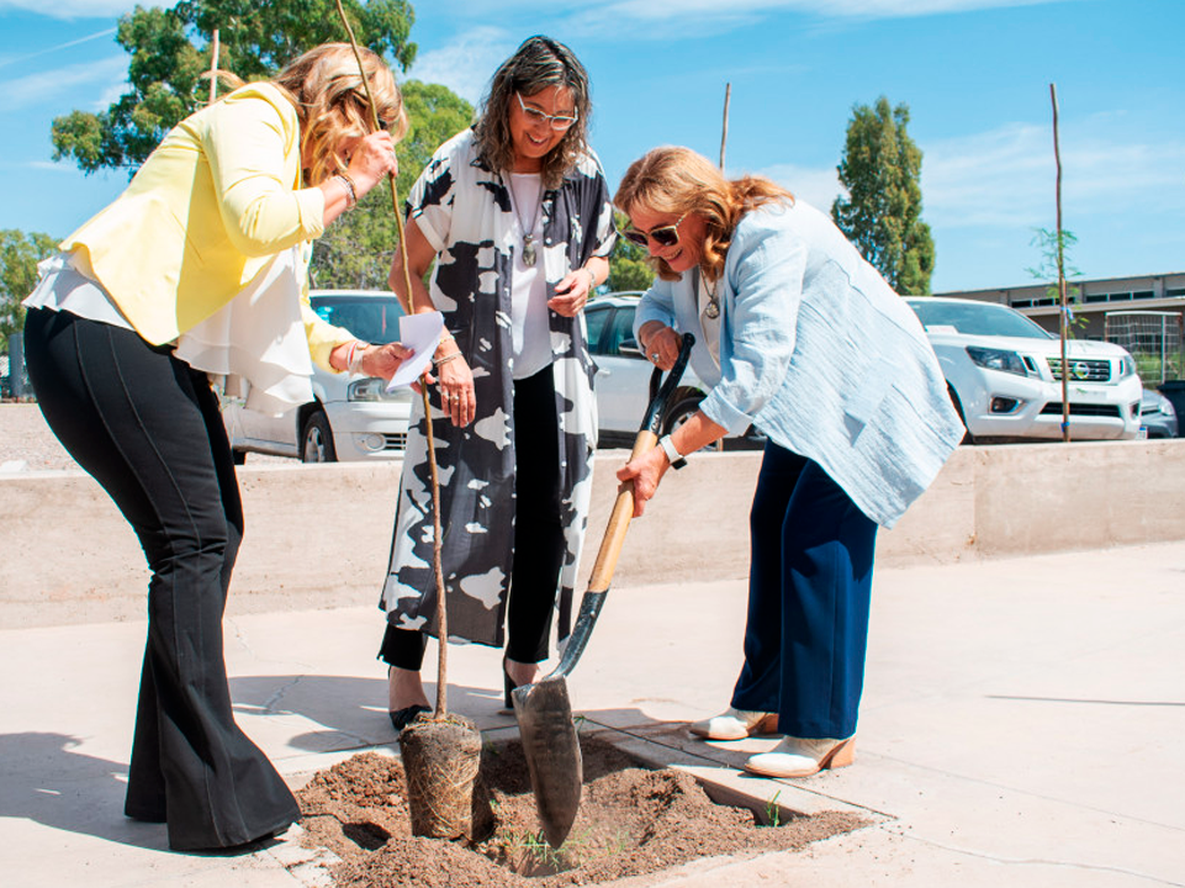 Ximena Erice, Ana Sisti y Esther Sanchez.
