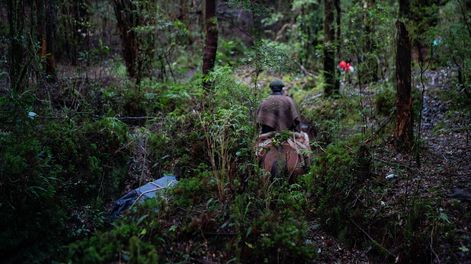 Conserva Puchegüín anunció los próximos pasos para la creación de un área protegida de más de 133 mil hectáreas en Chile.