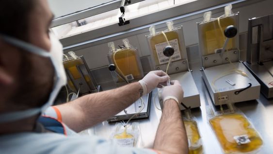 Laboratorio. Técnicas del Centro de Hemoterapia provincial procesan y  clasifican las bolsas de plasma donado por pacientes recuperados de coronavirus. Foto: Ignacio Blanco / Los Andes