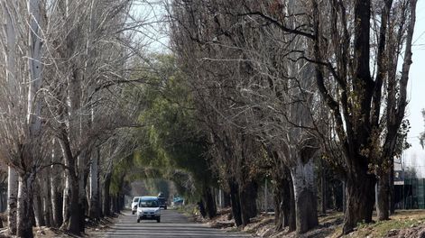 Calle Boedo de Luján de Cuyo.