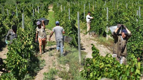 Sucesiones: buscan asegurar la continuidad de la explotación de las propiedades agrícolas