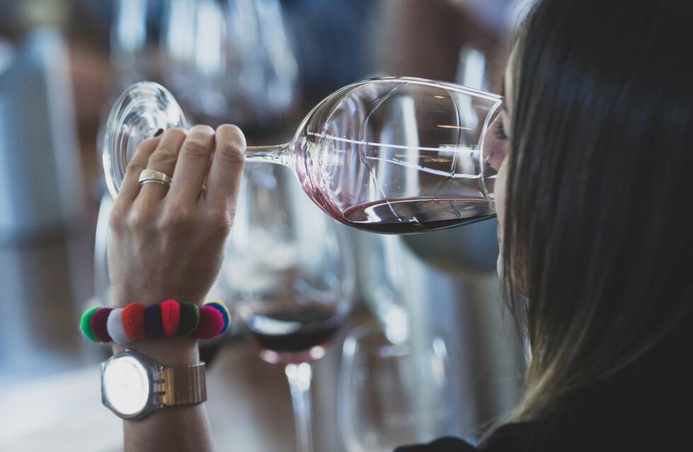 Si bien se trata de la cepa más tradicional de la vitivinicultura argentina, la oferta de malbec se renueva con versiones e interpretaciones. Foto: Ignacio Blanco / Los Andes