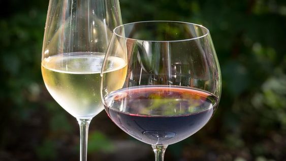 Aditivos en el vino: vuelve el debate entre las autoridades