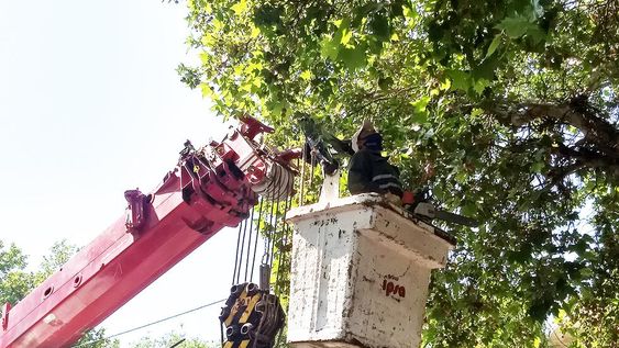 Se realizan intensas tareas de desrame de forestales y bacheo por Vendimia