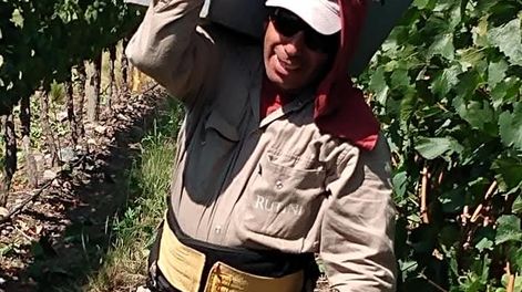 Emilio Benítez trabajando en una finca de Tupungato, donde se desempeña en tareas de viña. &nbsp;