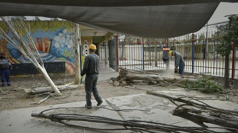 Los Andes | Tres árboles caídos en patios de jardines de Escuela Juan Francisco Cobo, en Godoy Cruz. Orlando Pelichotti / Los Andes