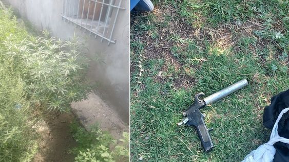 Al hombre lo llevaron detenido por violencia de género, por poseer un arma de fabricación casera y por tener plantas de marihuana. Foto: Ministerio de Seguridad