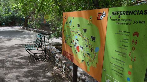 Los Andes | Ecoparque de MendozaMientras se esperan las obras en el actual Ecoparque algunos animales continuan en el ex zoo de Mendoza  Foto: Claudio Gutiérrez