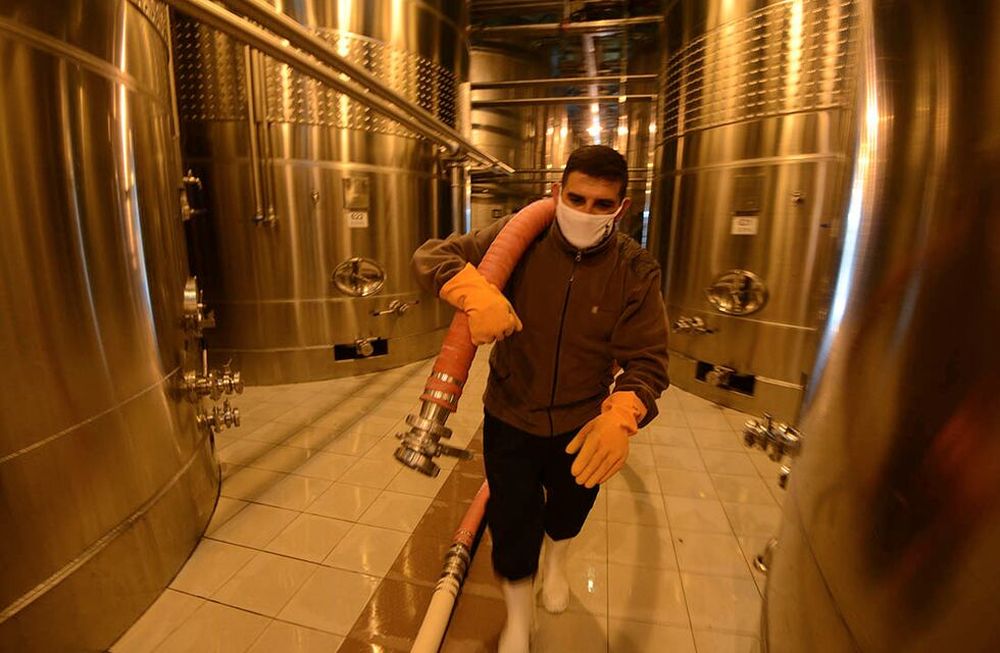 Falta de insumos y materia prima en vitivinicultura / Los Andes