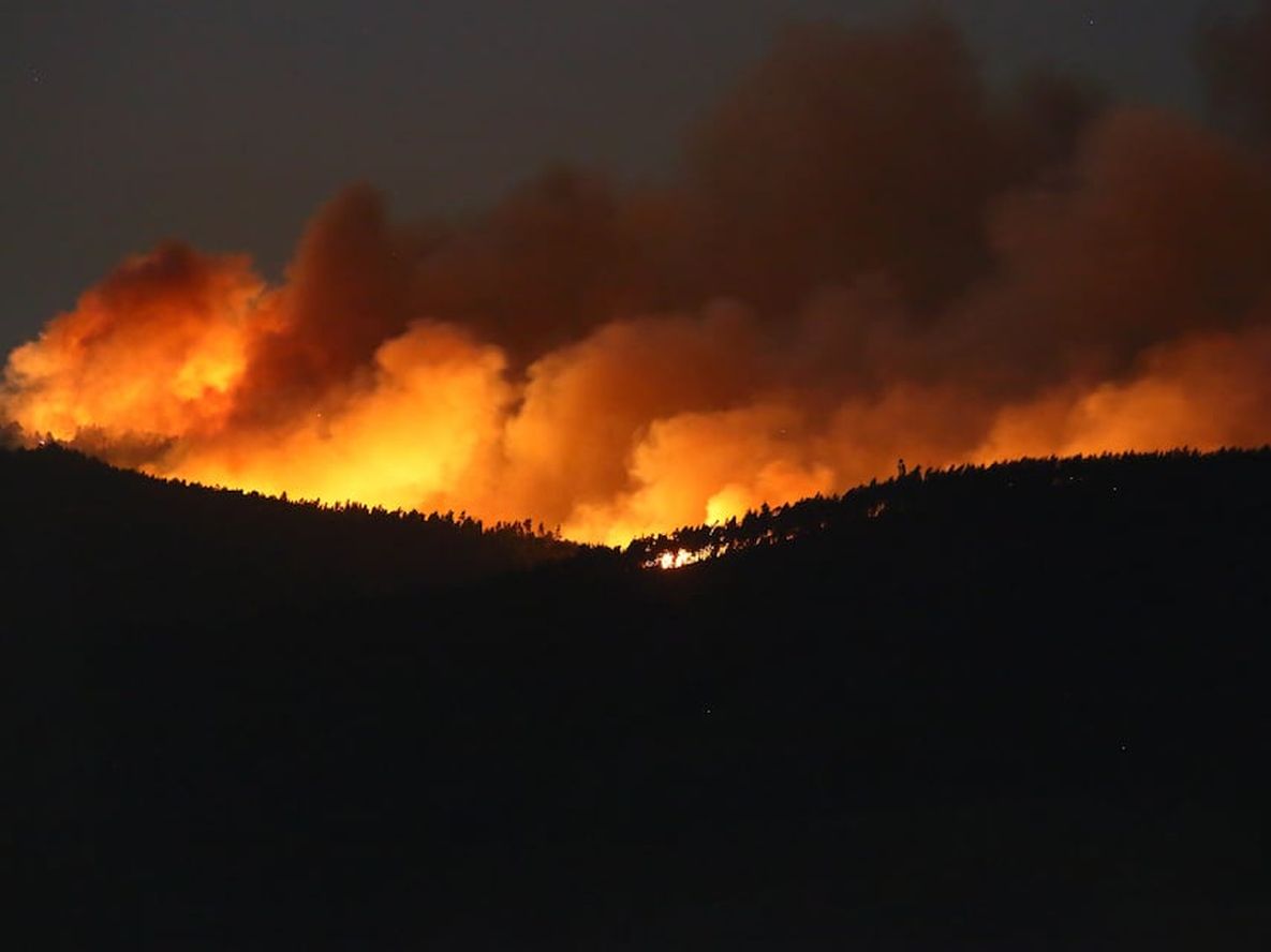 Incendios forestales: tiempo de ocuparse