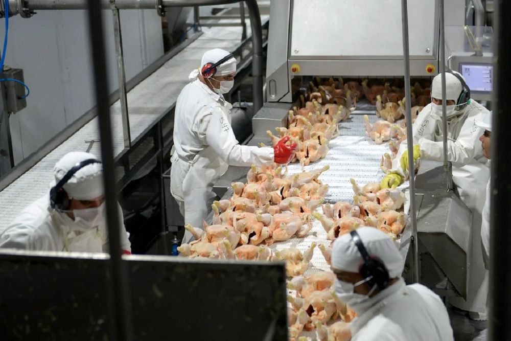 Granja Tres Arroyos cerró otra planta industrial y se encamina al cierre definitivo
