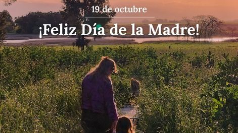 Día de la Madre: el saludo de Javier Milei y Casa Rosada.