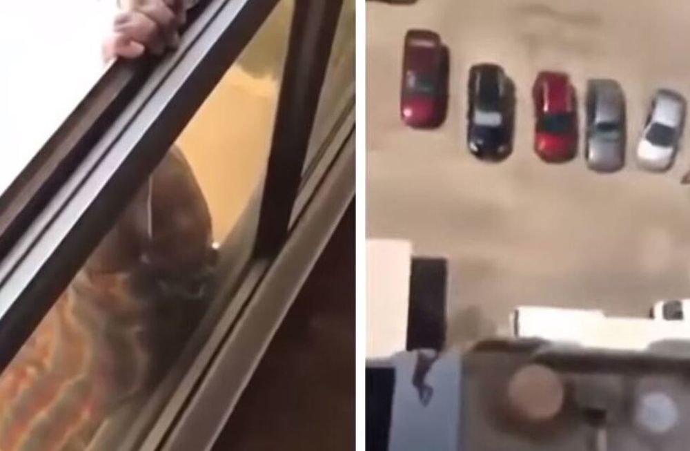 Su mucama colgaba de un séptimo piso y en vez de ayudarla la filmó: cayó al vacío