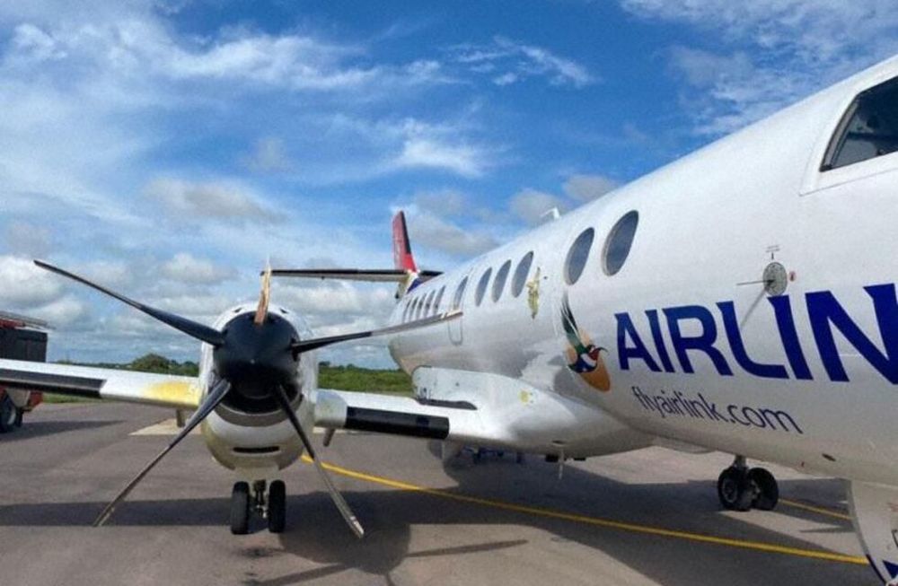 Un ave de gran tamaño choca contra un avión