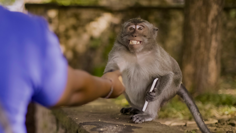 Larvas que atraen con luz a sus presas para comerlas y otras especies: así es el documental que no quieres ver- Foto: Gentileza National Geographic