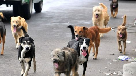 Los Andes | N3XSAGVCRNGLTK67IQDNNXMZSQ.jpeg?quality=75&smart=true&auth=bb4bc304a46f2df84bc2d436bfefab378f715599d803136444148ae3e91b774b&width=980&height=640