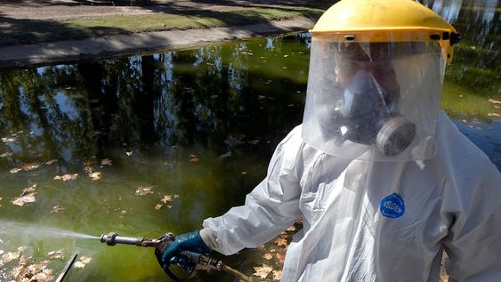 Personal de Zoonosis de Guaymallén desinfectando para evitar la propagación del mosquito Dengue  en el lago de Bandera de los Andes y UrquizaEl dengue, es una enfermedad viral transmitida por la picadura del mosquito del género Aedes, principalmente por Aedes aegypti.Foto : Orlando Pelichotti