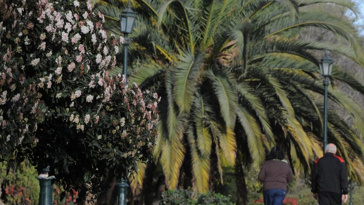 Cómo estará el tiempo este domingo y el feriado del 25 de mayo