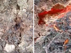 Llamas desde el fondo de la tierra: el fenómeno geológico que mantiene en alerta a Venezuela
