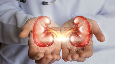 La incidencia de la enfermedad renal crónica (ERC) aumenta en Argentina y con ello, la demanda de diálisis y trasplantes.
