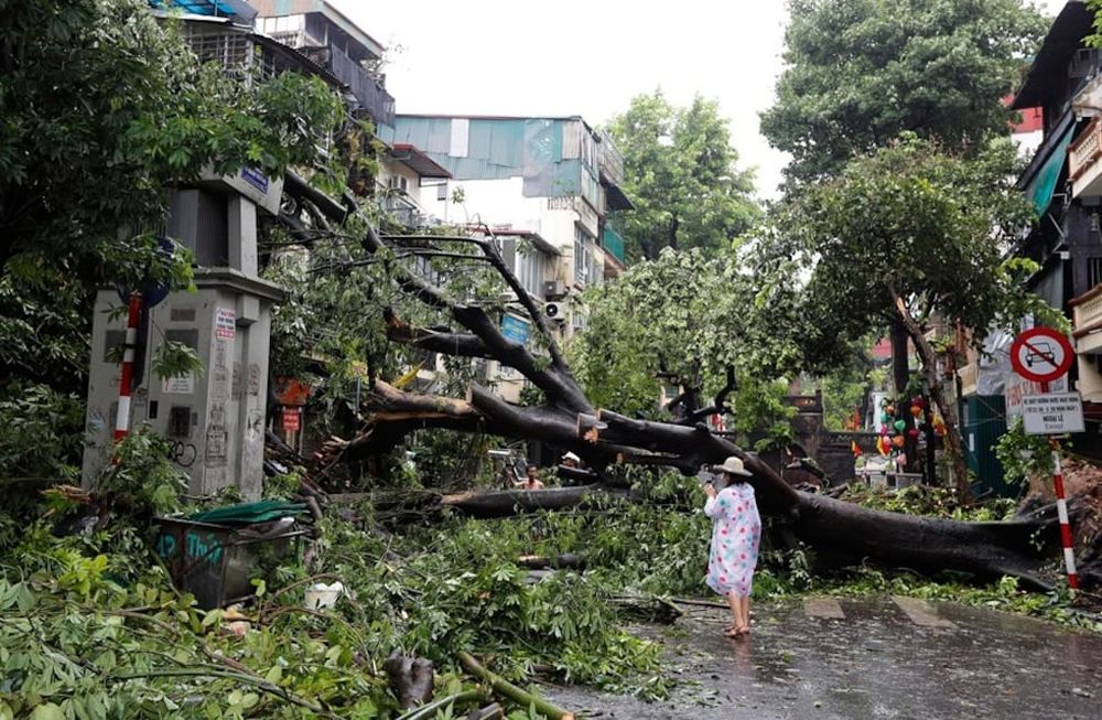 Una mujer junto a un árbol caído tras la llegada a tierra del tifón Yagi en Hanoi, Vietnam. EFE/Luong Thai Linh