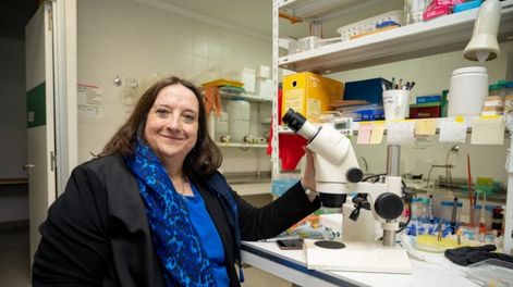 María Isabel Colombo, Premios Konex 2023 - Diploma al mérito en Ciencias Biomédicas Básicas.