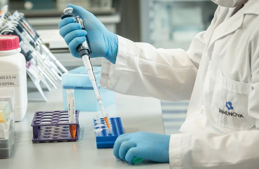Piden suero equino hiperinmune para tratar 80 pacientes.
