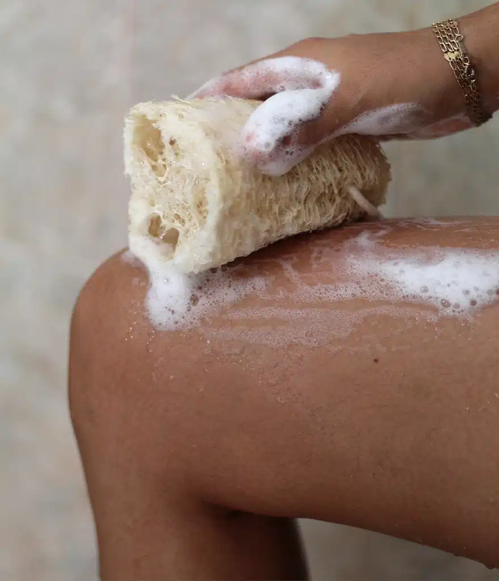 Plantar esponjas vegetales en tu casa es m&aacute;s f&aacute;cil de lo que parece.