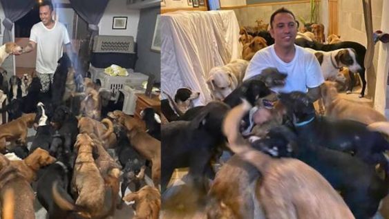 Ricardo Pimentel decidió preparar las instalaciones del refugio Tierra de animales para protegerlos del temporal que estaba a punto de azotar la región