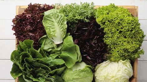 La CAME informó cuáles son los agroalimentos que más aumentaron entre el campo y la góndola en agosto